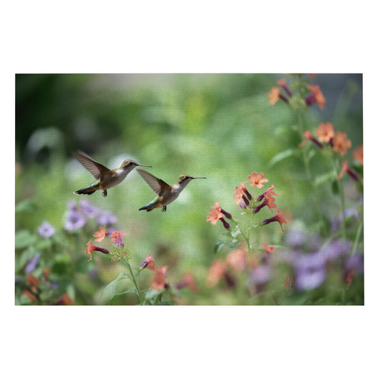 Hummingbird Harmony: Exquisite Avians - 1000 Piece Jigsaw Puzzle